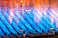 Walhampton gas fired boilers